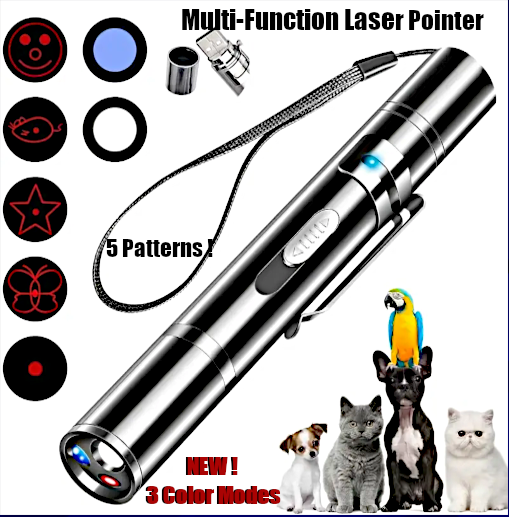 Multi-Function Pet Chasing Laser Beam/Pointer Controller : 45% OFF